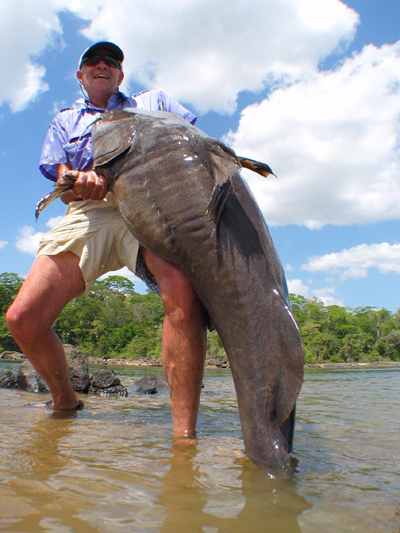 拉里·达尔伯格环游世界寻找最大最险恶的鱼。