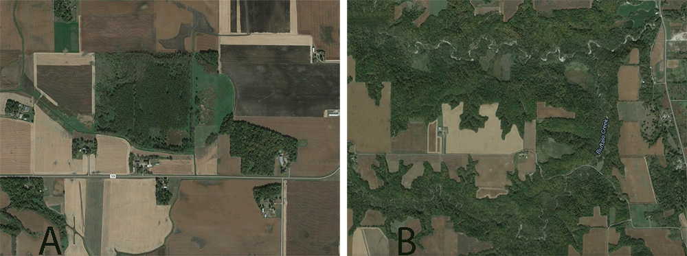 两张美国中西部林地和农田的并排卫星照片，用来比较植被覆盖和食物来源。