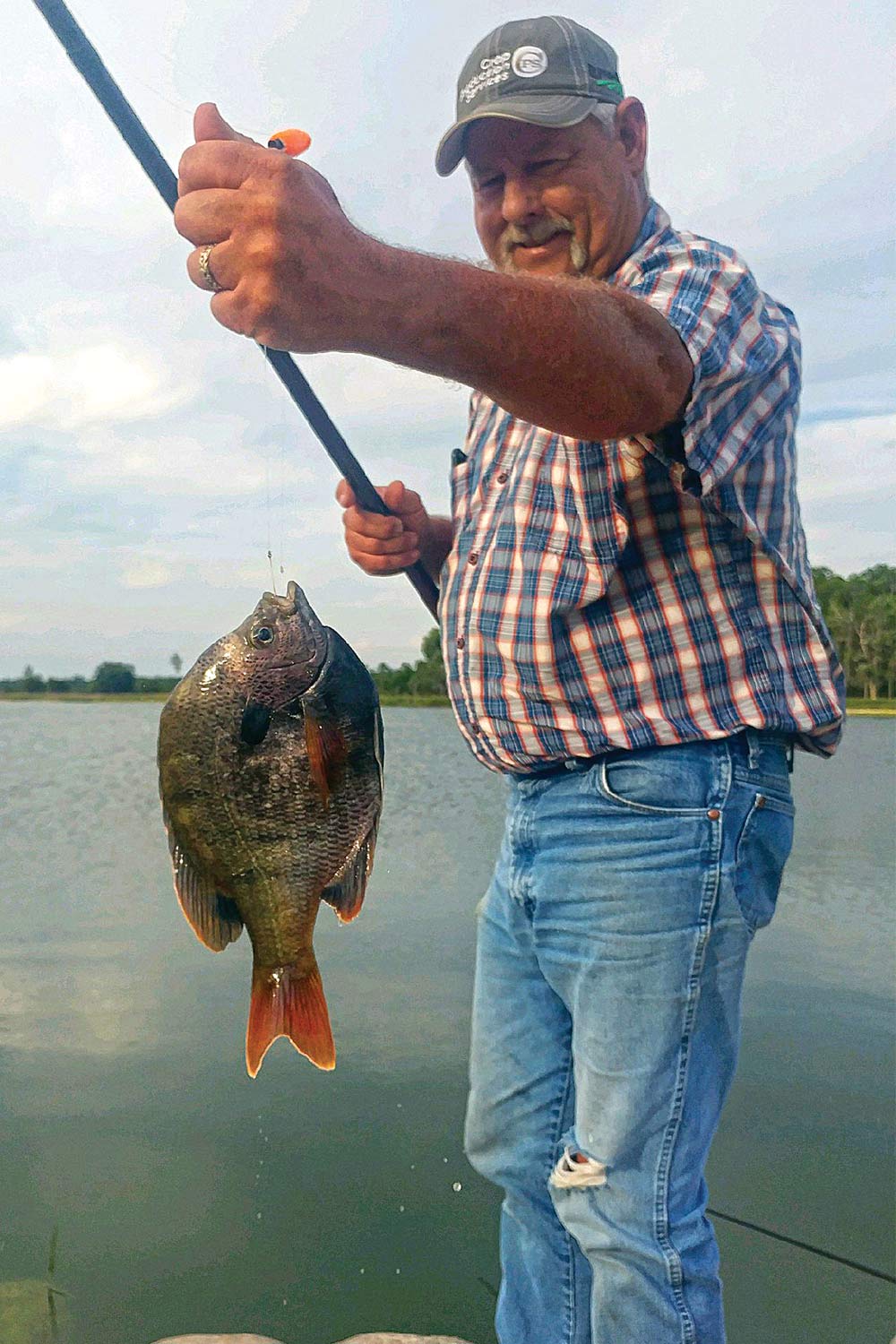 韦恩·谢尔比钓到了一条一磅重的蓝鳃鱼