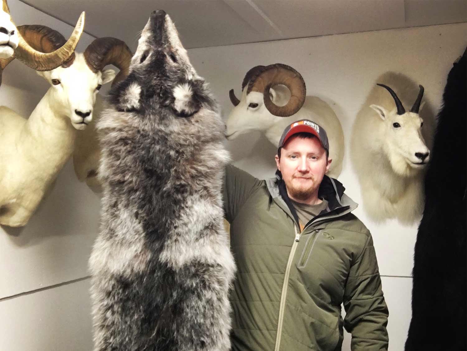 猎人举着一张巨大的狼皮。