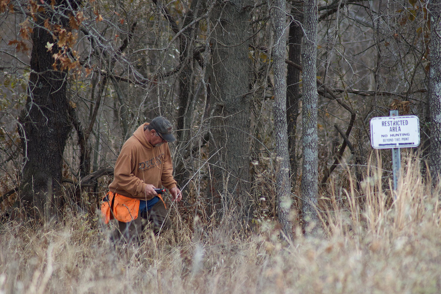 猎人在树林边的田野里。