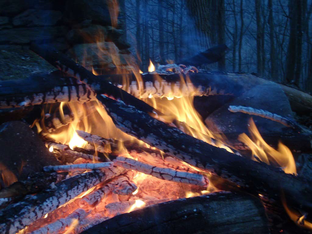夜里树林里的小火在燃烧。
