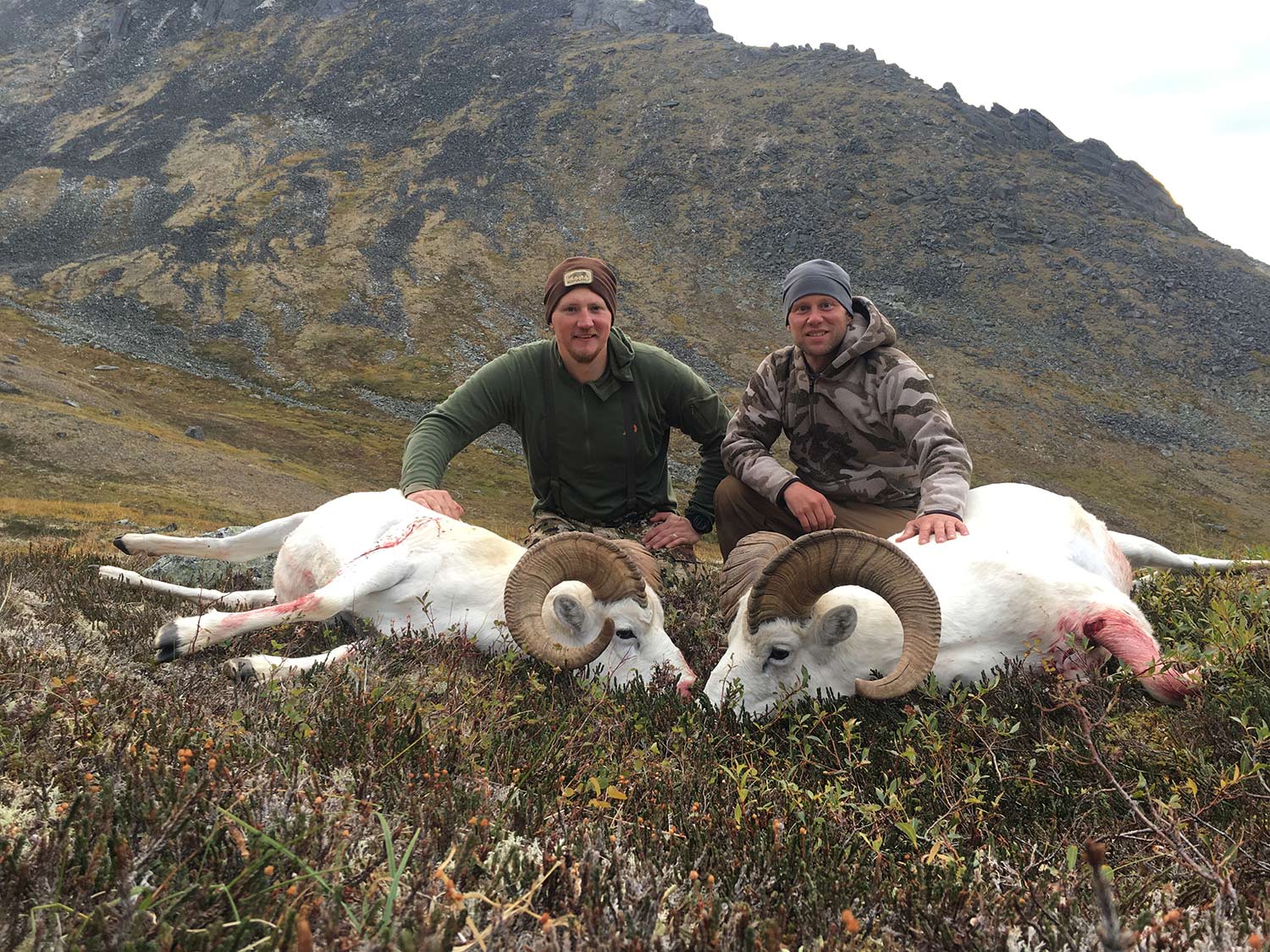 两个猎人跪在两只白色的小绵羊后面。