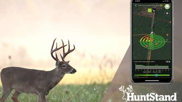这是一只白尾雄鹿在田野里行走的图像，上面覆盖着一个品牌锁，上面显示着HuntStand应用程序、标志和标语: