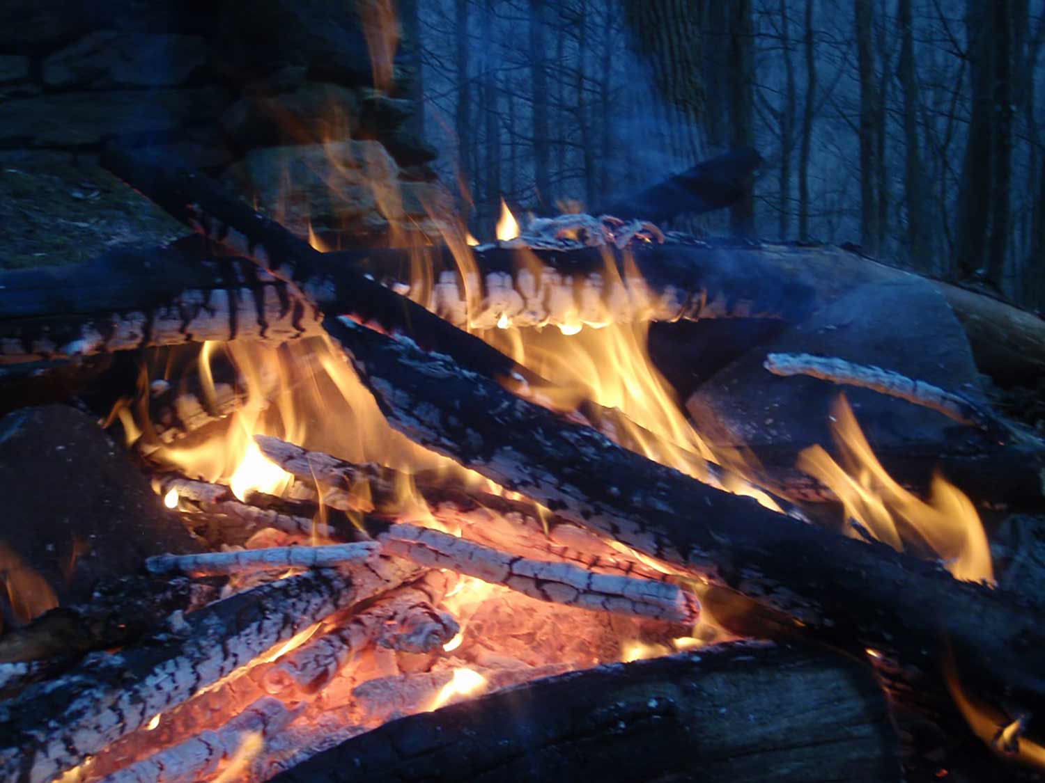 在夜间的营火中，一堆堆燃烧着的木头变成了木炭。