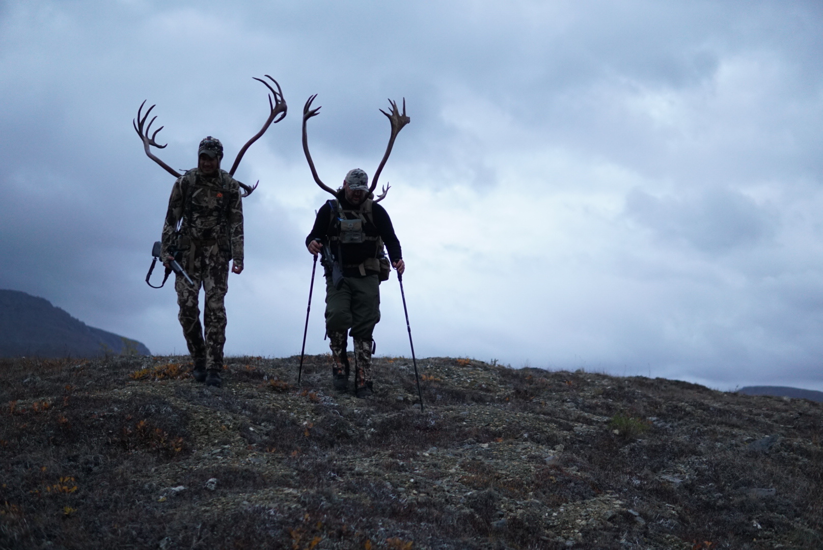 两名非本地驯鹿猎人在拟议的封闭区域打包肉类和鹿角。