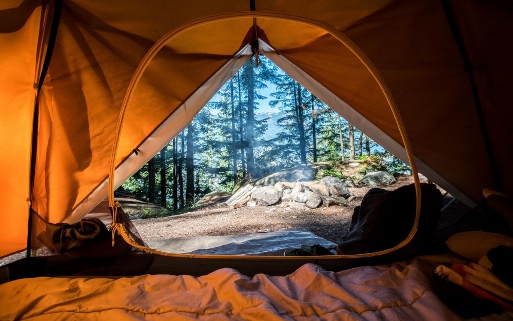 从帐篷里看到的树木，里面有最好的睡袋
