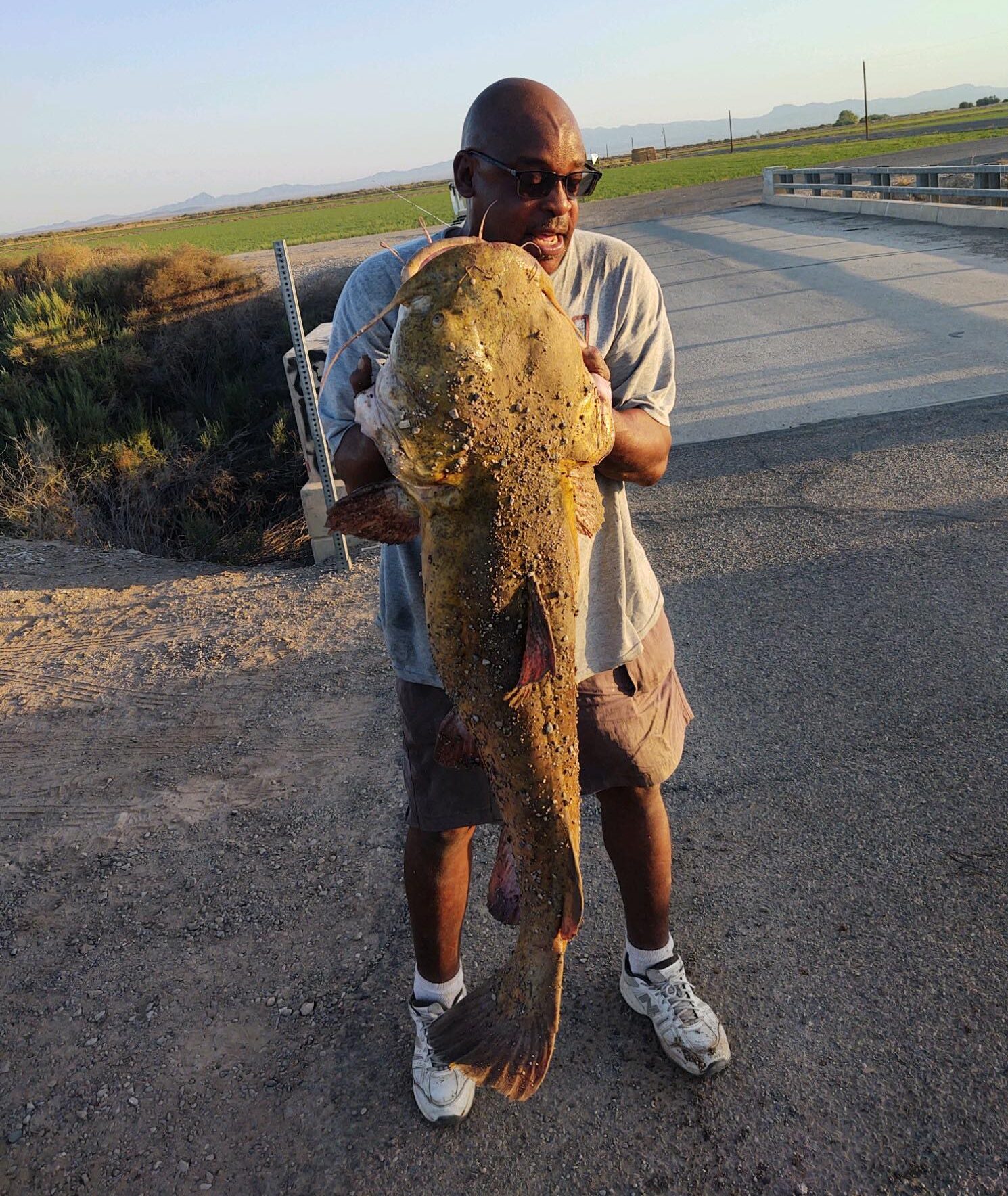 这座80磅磅的亚利桑蒙皮鲶鱼被炸掉了鱼苗。