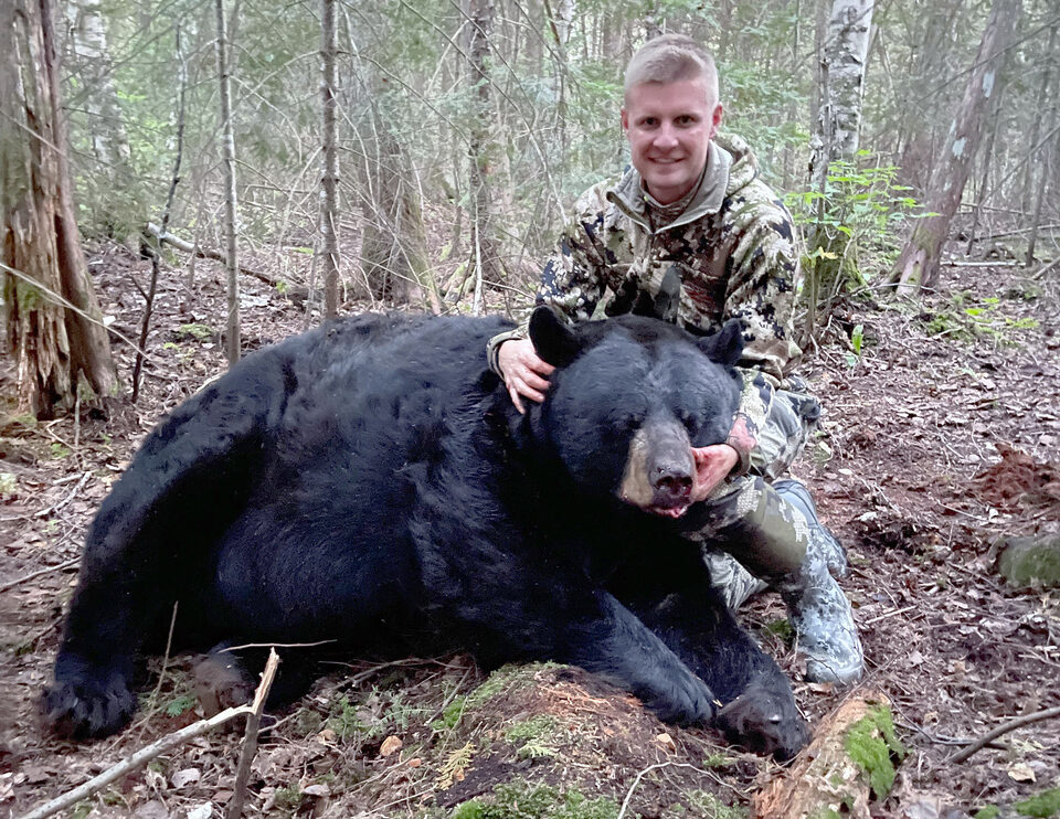这只重达800磅的安大略黑熊被猎人捕获。
