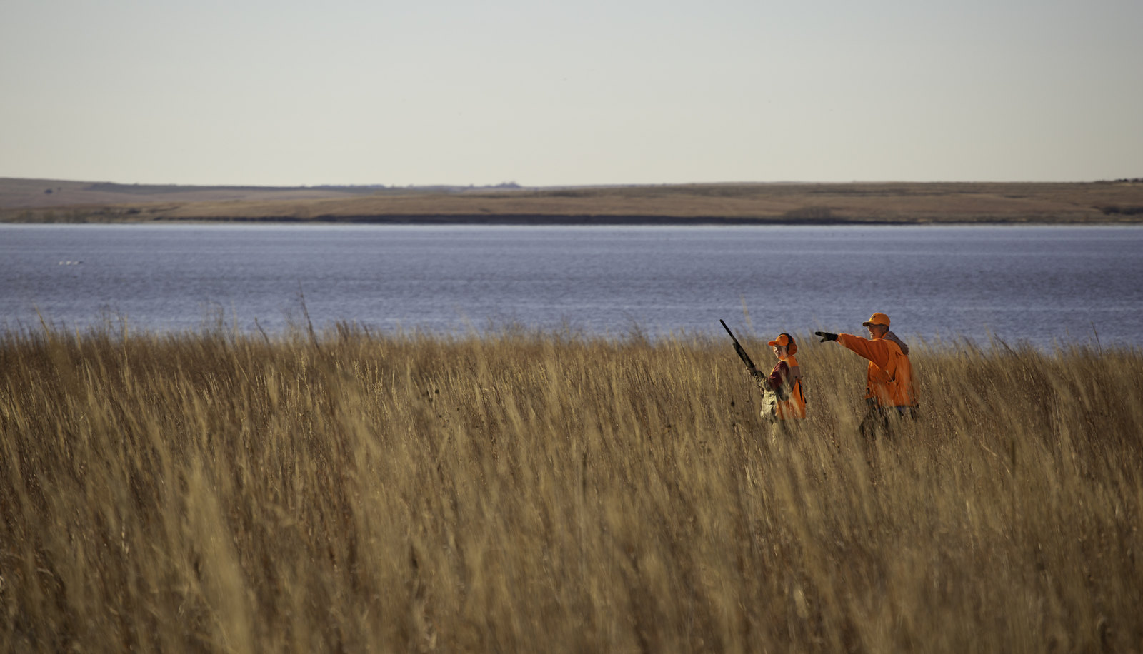 堪萨斯州国民野生动物保护区的高地猎鸟者