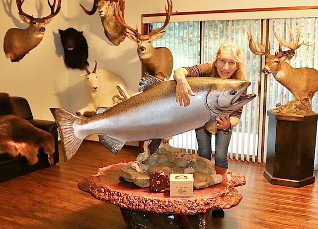 重达105磅的奇努克鲑鱼的复制品，这可能是一项世界纪录。