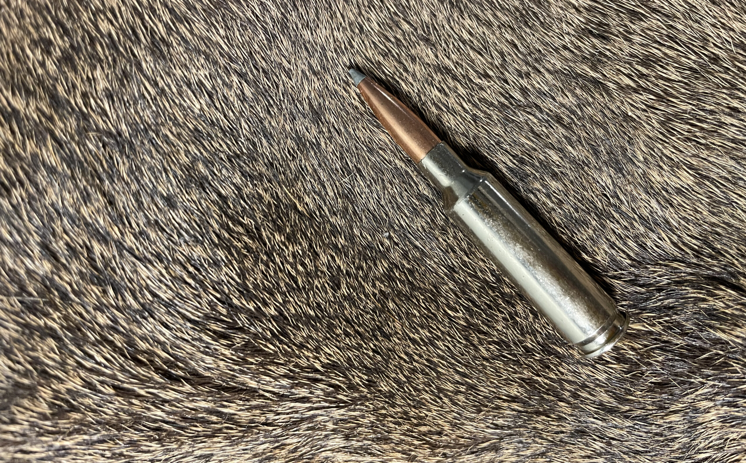 6.5 Creedmoor子弹并不总是能在鹿身上留下最好的血迹。