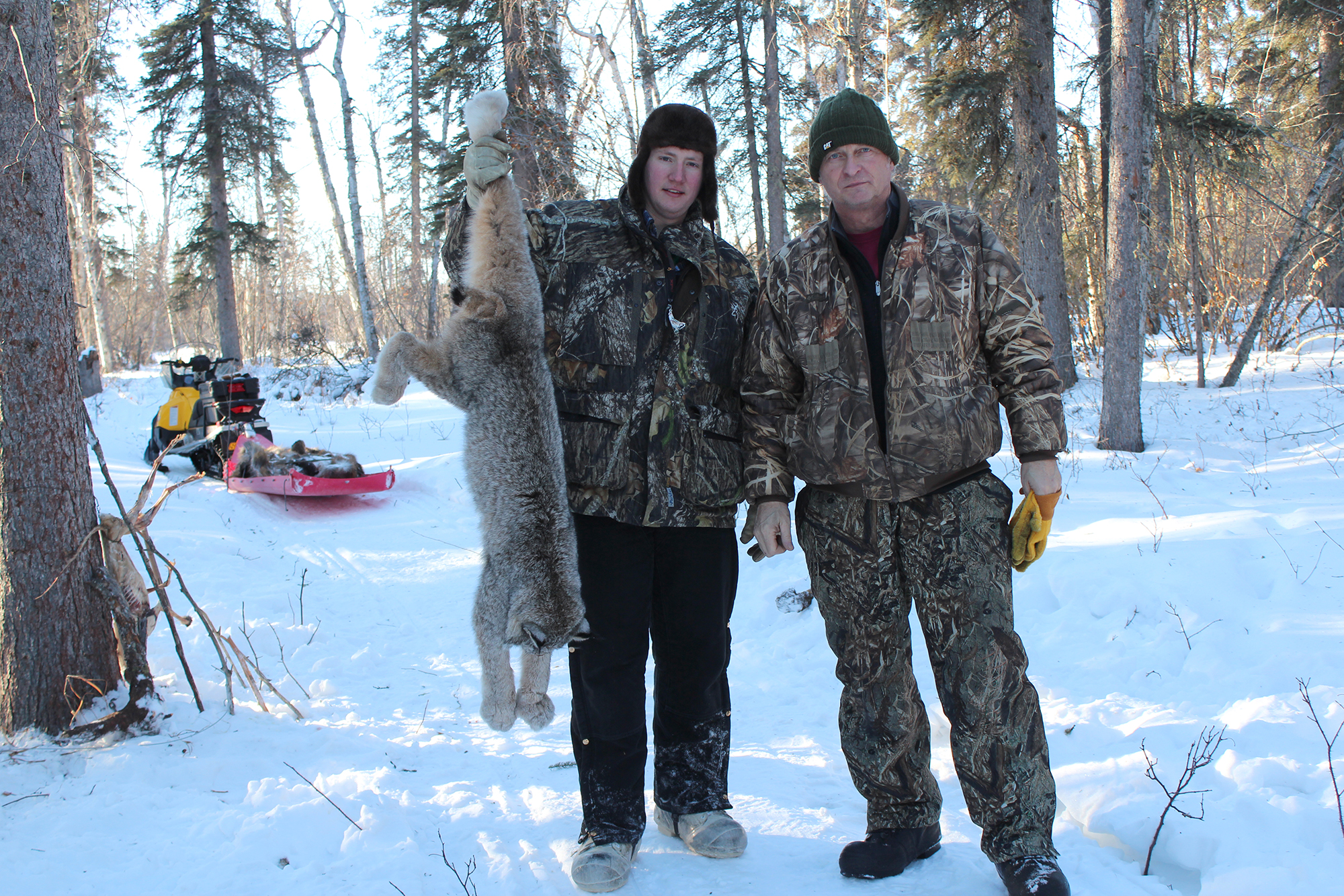 捕获和狩猎毛皮动物是一种可持续的做法。