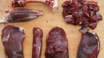 cuts of venison